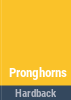Pronghorns