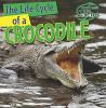The_life_cycle_of_a_crocodile