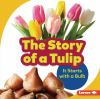 The_story_of_a_tulip