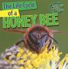 The_life_cycle_of_a_honeybee