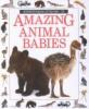 Amazing_animal_babies