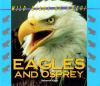 Eagles_and_osprey