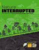 Nature_interrupted