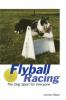 Flyball_racing