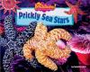 Prickly_sea_stars