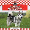 Alaskan_Malamutes