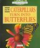 How_caterpillars_turn_into_butterflies