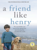 A_friend_like_Henry