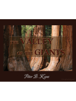 The_Valley_of_the_Giants