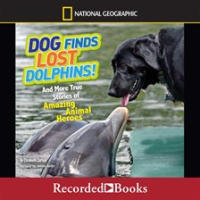 Dog_Finds_Lost_Dolphins