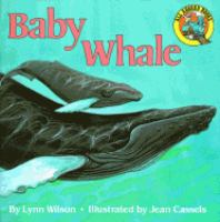Baby_whale