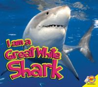 I_am_a_great_white_shark