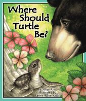 Where_should_turtle_be_