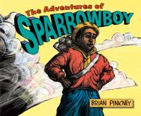 The_adventures_of_sparrow_boy