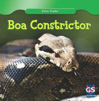 Boa_constrictor