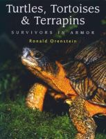 Turtles__tortoises_and_terrapins