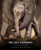 The_last_elephants