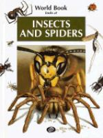 Insects_and_spiders