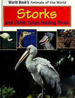 Storks_and_other_large_wading_birds