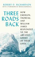Three_roads_back