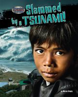 Slammed_by_a_tsunami_