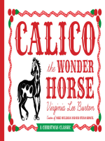 Calico_the_Wonder_Horse