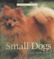 Small_dogs
