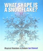 What_shape_is_a_snowflake_