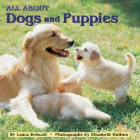 All_about_dogs_and_puppies