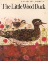 The_little_wood_duck
