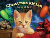 Christmas_kitten__home_at_last