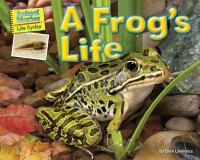 A_frog_s_life