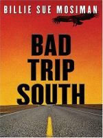 Bad_trip_south