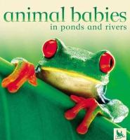 Animal_babies_in_ponds_and_rivers
