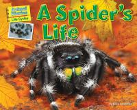 A_spider_s_life