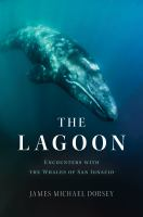 The_lagoon