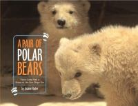 A_pair_of_polar_bears