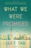 What_we_were_promised
