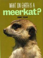 What_on_earth_is_a_meerkat_