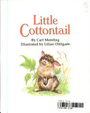 Little_cottontail