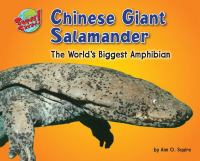Chinese_giant_salamander